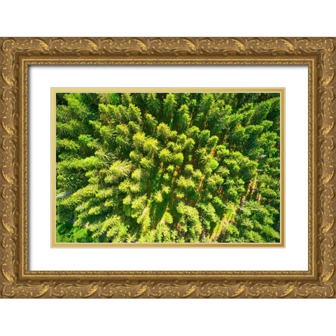 Finlandia-Savonlinna-aerial view Gold Ornate Wood Framed Art Print with Double Matting by Molinari, Michele