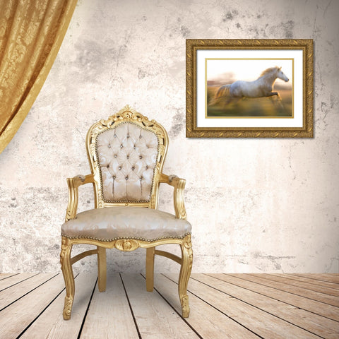 France, Provence White Camargue horse running Gold Ornate Wood Framed Art Print with Double Matting by Zuckerman, Jim