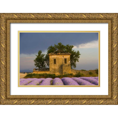 France, Provence Field of lavender and hut Gold Ornate Wood Framed Art Print with Double Matting by Zuckerman, Jim
