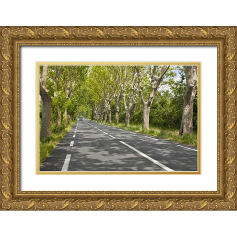 France, Provence Cars on tree-lined street Gold Ornate Wood Framed Art Print with Double Matting by Lord, Fred