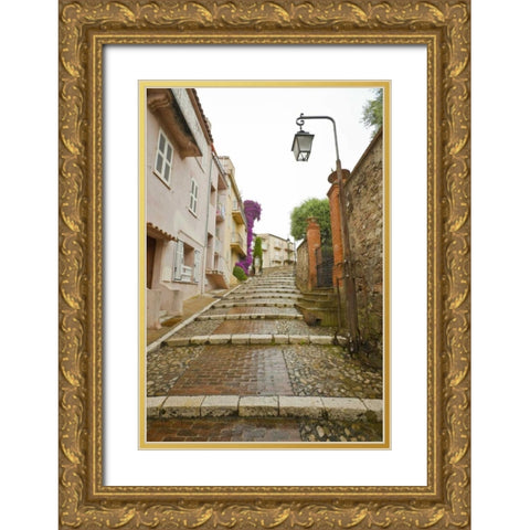 France, Provence, Cannes Rain-covered steps Gold Ornate Wood Framed Art Print with Double Matting by Lord, Fred
