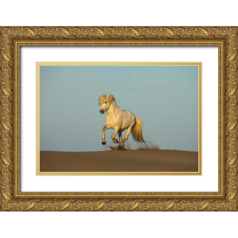 France, Provence Camargue horse running in sand Gold Ornate Wood Framed Art Print with Double Matting by Zuckerman, Jim