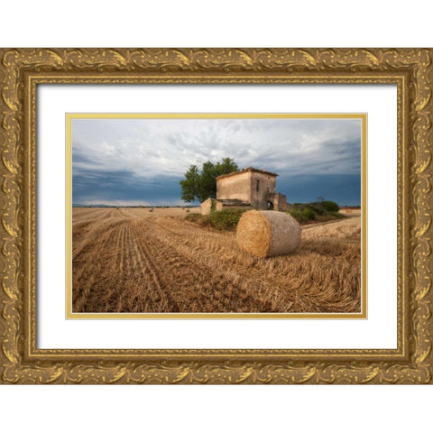 Europe, France Hay bale in Provence field Gold Ornate Wood Framed Art Print with Double Matting by Anon, Ellen