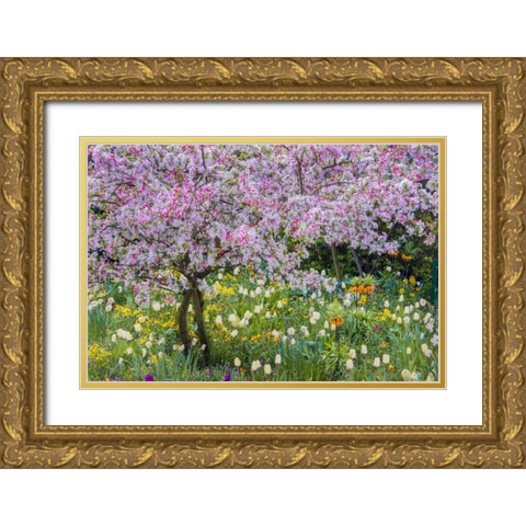 France, Giverny spring in Claude Monets garden Gold Ornate Wood Framed Art Print with Double Matting by Needle, Charles