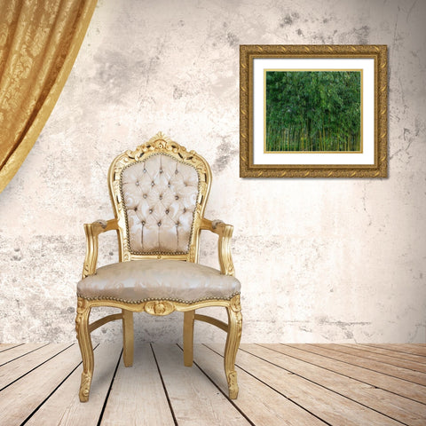 France-Giverny Bamboo forest in Monets Garden  Gold Ornate Wood Framed Art Print with Double Matting by Jaynes Gallery