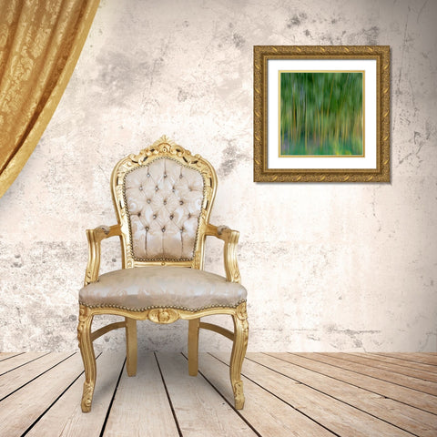 France-Giverny Abstract of bamboo forest in Monets Garden  Gold Ornate Wood Framed Art Print with Double Matting by Jaynes Gallery