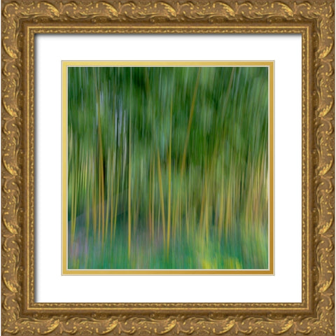 France-Giverny Abstract of bamboo forest in Monets Garden  Gold Ornate Wood Framed Art Print with Double Matting by Jaynes Gallery