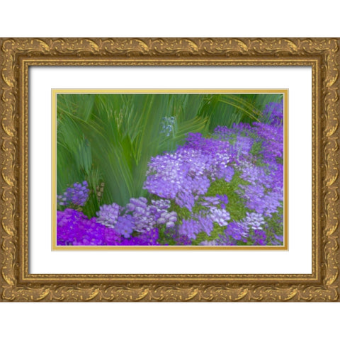 France-Giverny Impression of flowers in Monets Garden  Gold Ornate Wood Framed Art Print with Double Matting by Jaynes Gallery