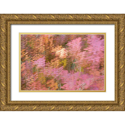 France-Giverny Impression of flowers in Monets Garden  Gold Ornate Wood Framed Art Print with Double Matting by Jaynes Gallery