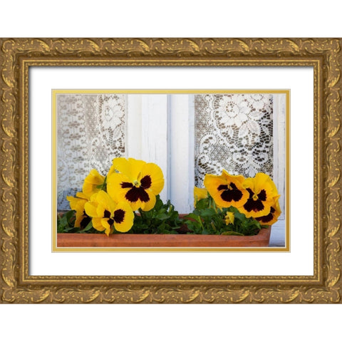 France-Giverny Yellow pansies and lace curtain  Gold Ornate Wood Framed Art Print with Double Matting by Jaynes Gallery