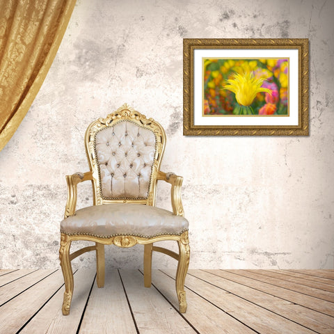 France-Giverny Impression of flowers in Monets Garden  Gold Ornate Wood Framed Art Print with Double Matting by Jaynes Gallery