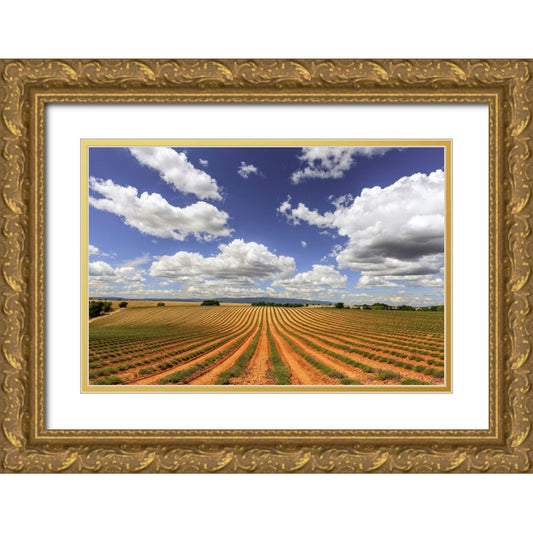 Perspective Image