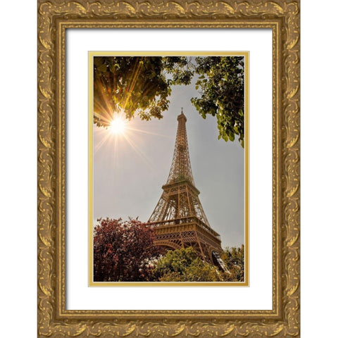 Eiffel Tower framed by trees and sunburst in Paris-France Gold Ornate Wood Framed Art Print with Double Matting by Steve Mohlenkamp