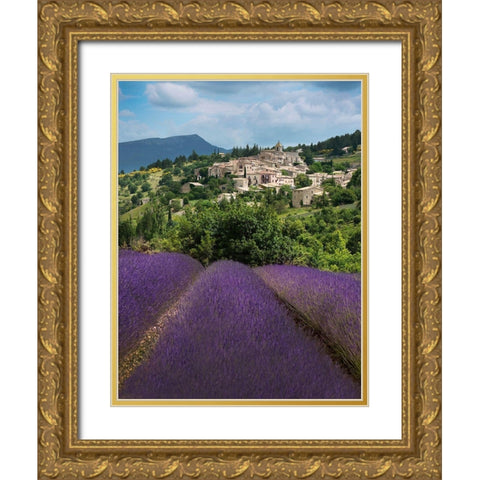 Lavender bloom near Sault in the south of France Gold Ornate Wood Framed Art Print with Double Matting by Steve Mohlenkamp