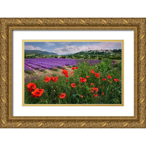 Lavender bloom near Sault in the south of France Gold Ornate Wood Framed Art Print with Double Matting by Steve Mohlenkamp