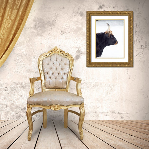 Heck Cattle -an attempt to breed back the extinct Aurochs from domestic cattle Germany-Bavaria Gold Ornate Wood Framed Art Print with Double Matting by Zwick, Martin