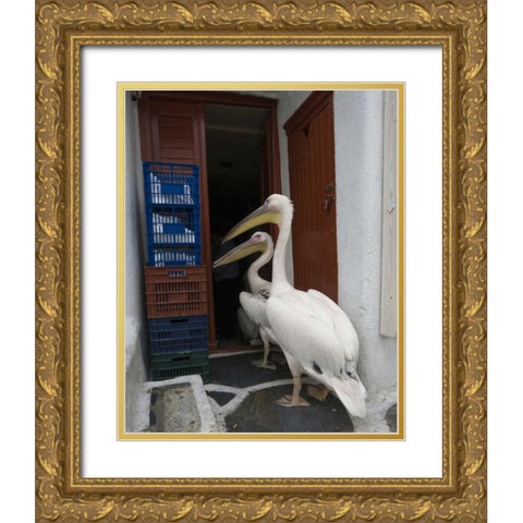 Greece, Mykonos, Hora Two pelicans in restaurant Gold Ornate Wood Framed Art Print with Double Matting by Young, Bill