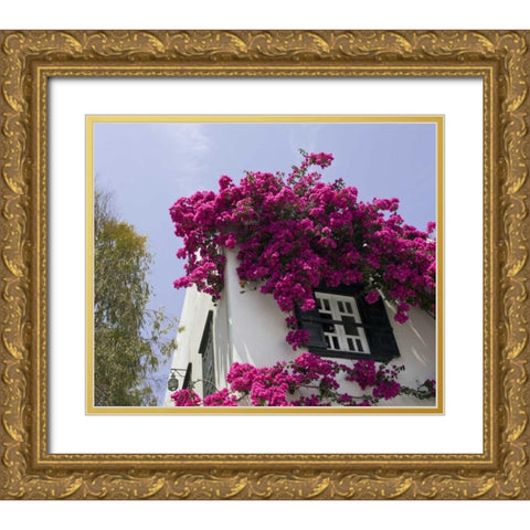 Greece, Mykonos, Hora Bougainvillea flowers Gold Ornate Wood Framed Art Print with Double Matting by Young, Bill