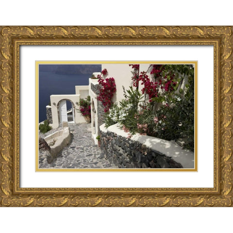 Greece, Santorini, Thira, Oia Pebbled staircase Gold Ornate Wood Framed Art Print with Double Matting by Young, Bill