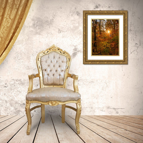 Autumn in the forest of the Koszeg mountains-Geschriebenstein- Hungary Gold Ornate Wood Framed Art Print with Double Matting by Zwick, Martin