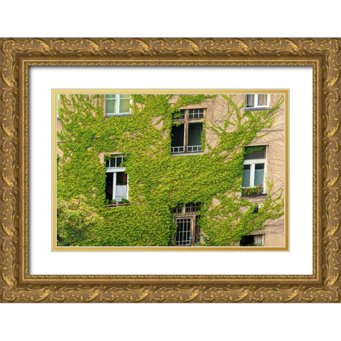 Ivy covered wall of building Gold Ornate Wood Framed Art Print with Double Matting by Haseltine, Tom