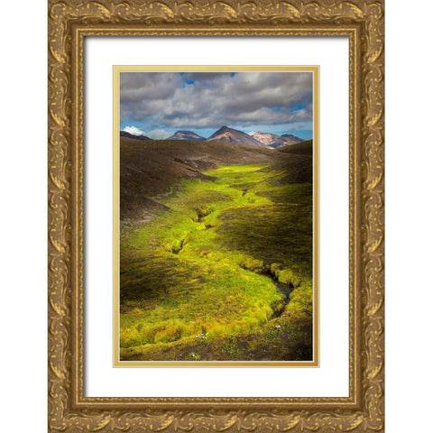 Colorful lichen along small stream in the mountains-Iceland Gold Ornate Wood Framed Art Print with Double Matting by Jones, Adam