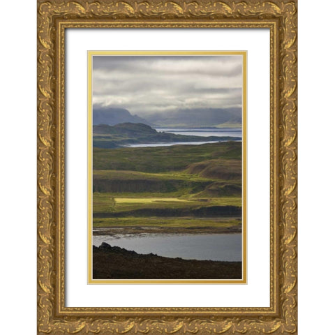 Iceland Farmland along Thorskafjordur Fjord Gold Ornate Wood Framed Art Print with Double Matting by Grall, Don
