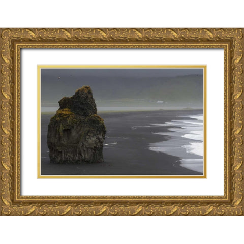 Iceland, Vik black sand beach on rainy day Gold Ornate Wood Framed Art Print with Double Matting by Young, Bill