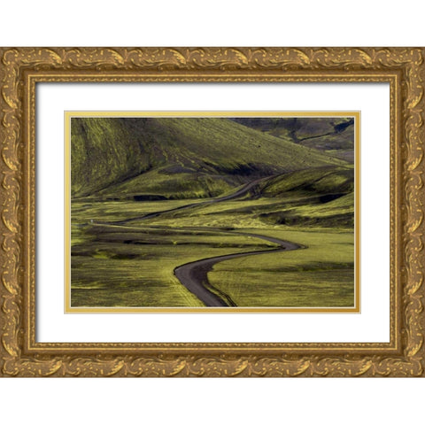 Iceland Road curves through green countryside Gold Ornate Wood Framed Art Print with Double Matting by Young, Bill