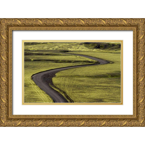 Iceland Road curves through green countryside Gold Ornate Wood Framed Art Print with Double Matting by Young, Bill