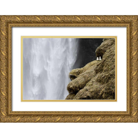 Iceland Close-up of Skogafoss waterfall Gold Ornate Wood Framed Art Print with Double Matting by Young, Bill