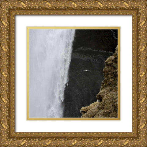 Iceland Seagull flies past Skogafoss waterfall Gold Ornate Wood Framed Art Print with Double Matting by Young, Bill