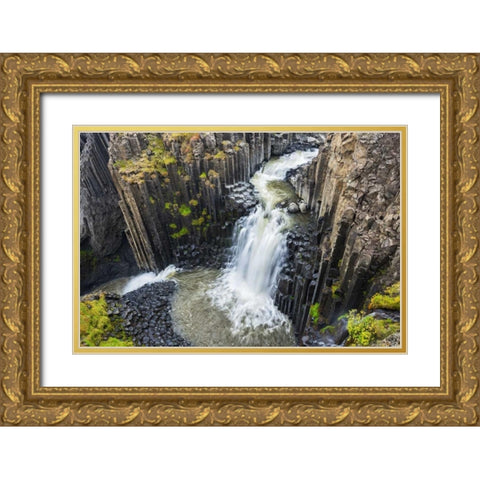 Iceland, Waterfall and basalt columns Gold Ornate Wood Framed Art Print with Double Matting by Kirkland, Dennis