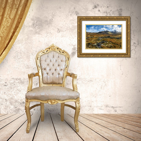 Iceland, Snaefellsnes Peninsula Autumn landscape Gold Ornate Wood Framed Art Print with Double Matting by Kirkland, Dennis