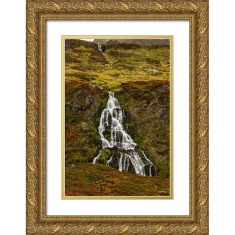 Iceland, Snaefellsnes Small waterfall and Autumn Gold Ornate Wood Framed Art Print with Double Matting by Kirkland, Dennis