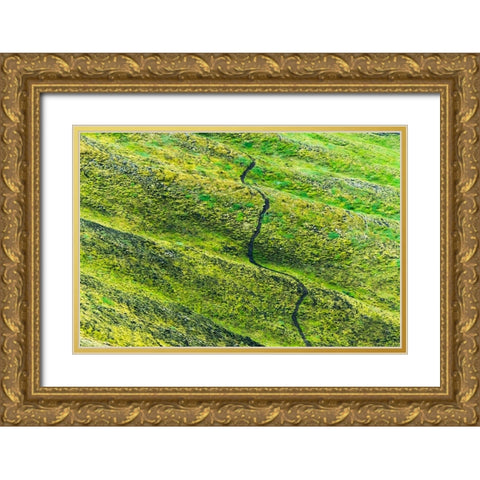 A winding path in the mountain-Landmannalaugar-Iceland Gold Ornate Wood Framed Art Print with Double Matting by Su, Keren