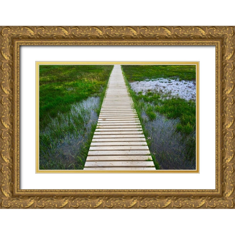 A plank pathway in Landmannalaugar-Iceland Gold Ornate Wood Framed Art Print with Double Matting by Su, Keren