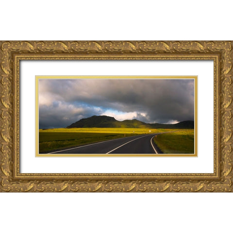 Winding road-Vik-Iceland Gold Ornate Wood Framed Art Print with Double Matting by Su, Keren