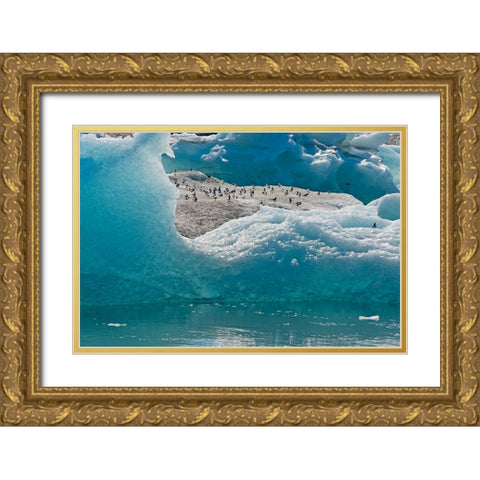 Birds on icebergs in Jokulsarlon Glacial Lagoon-Iceland Gold Ornate Wood Framed Art Print with Double Matting by Su, Keren