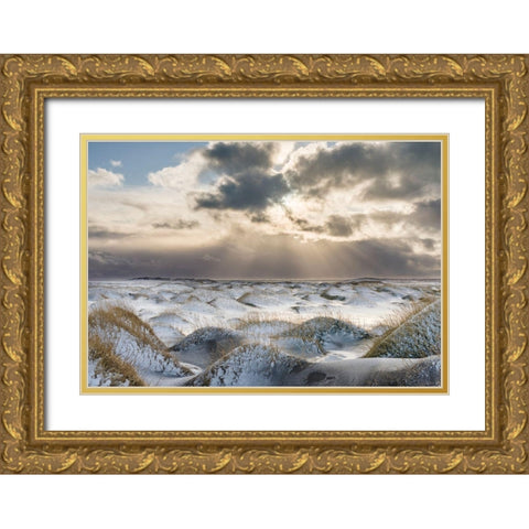 Coastal landscape with dunes at iconic Stokksnes during winter and stormy conditions Iceland Gold Ornate Wood Framed Art Print with Double Matting by Zwick, Martin