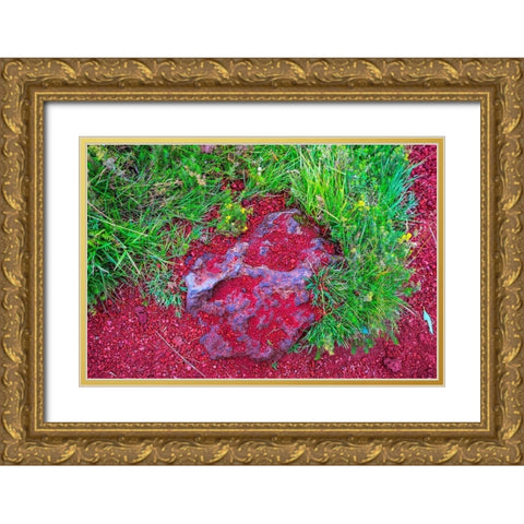 Red Volcanic Stone green Grass Kerio Volcano Crater blue Lake Golden Falls Golden Circle Gold Ornate Wood Framed Art Print with Double Matting by Perry, William