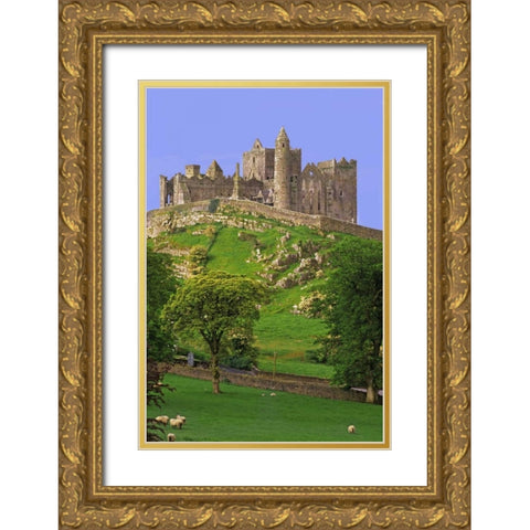 Ireland, Co Tipperary Rock of Cashel fortress Gold Ornate Wood Framed Art Print with Double Matting by Flaherty, Dennis