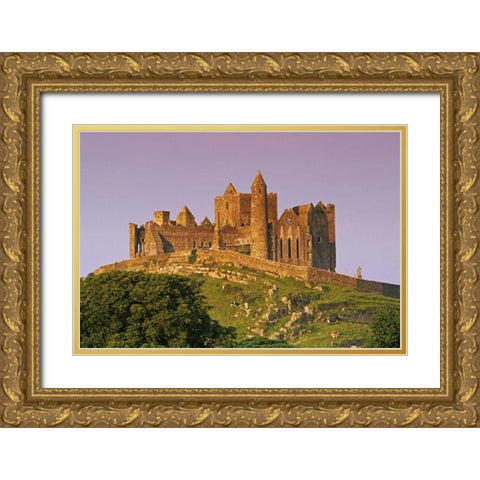 Ireland, Co Tipperary Rock of Cashel fortress Gold Ornate Wood Framed Art Print with Double Matting by Flaherty, Dennis