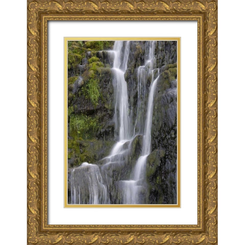 Ireland, Donegal View of Assarnacally Waterfall Gold Ornate Wood Framed Art Print with Double Matting by Kaveney, Wendy