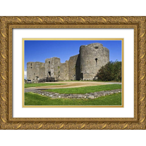 Ireland, View of Roscommon Castle Gold Ornate Wood Framed Art Print with Double Matting by Flaherty, Dennis