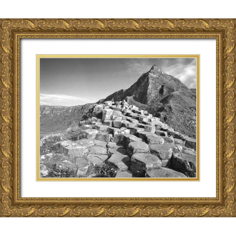 Northern Ireland Basalt at the Giants Causeway Gold Ornate Wood Framed Art Print with Double Matting by Flaherty, Dennis