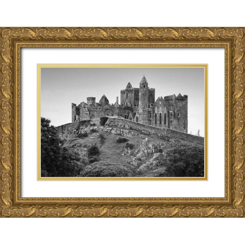 Ireland, County Tipperary Rock of Cashel castle Gold Ornate Wood Framed Art Print with Double Matting by Flaherty, Dennis