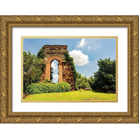 Italy-Rome Parc of the Aqueducts (Parco degli Acquedotti)-Acqua Claudio Gold Ornate Wood Framed Art Print with Double Matting by Jones, Alison