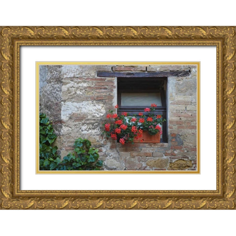Italy, San Quirico dOrcia Flowers in a window Gold Ornate Wood Framed Art Print with Double Matting by Flaherty, Dennis