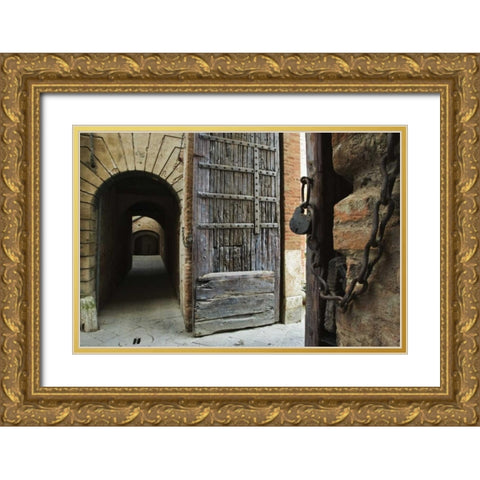 Italy, Tuscany, Fortified gate and an alley Gold Ornate Wood Framed Art Print with Double Matting by Flaherty, Dennis